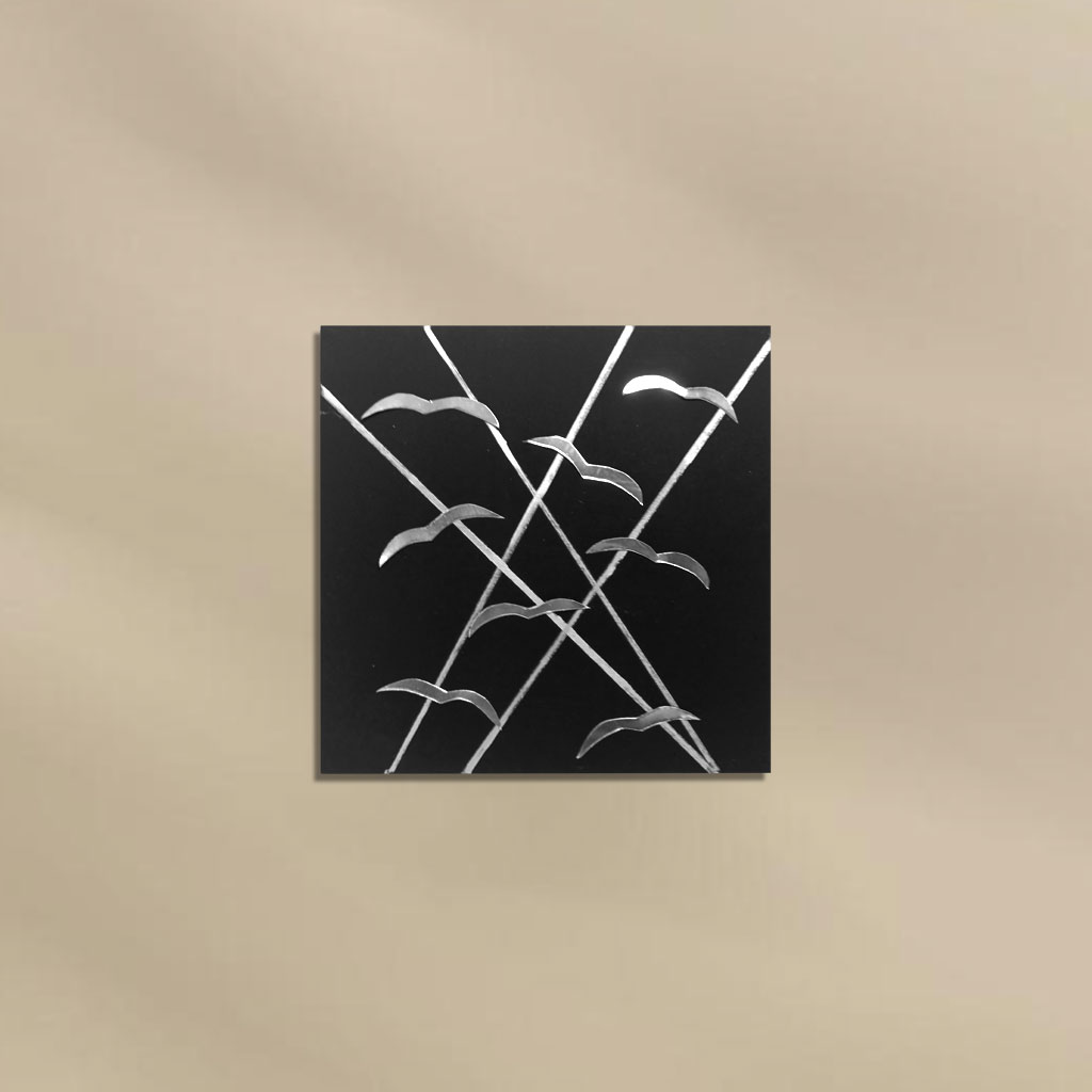 Κάδρο - Γλάροι